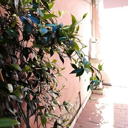 Biennale Flat Апартаменты